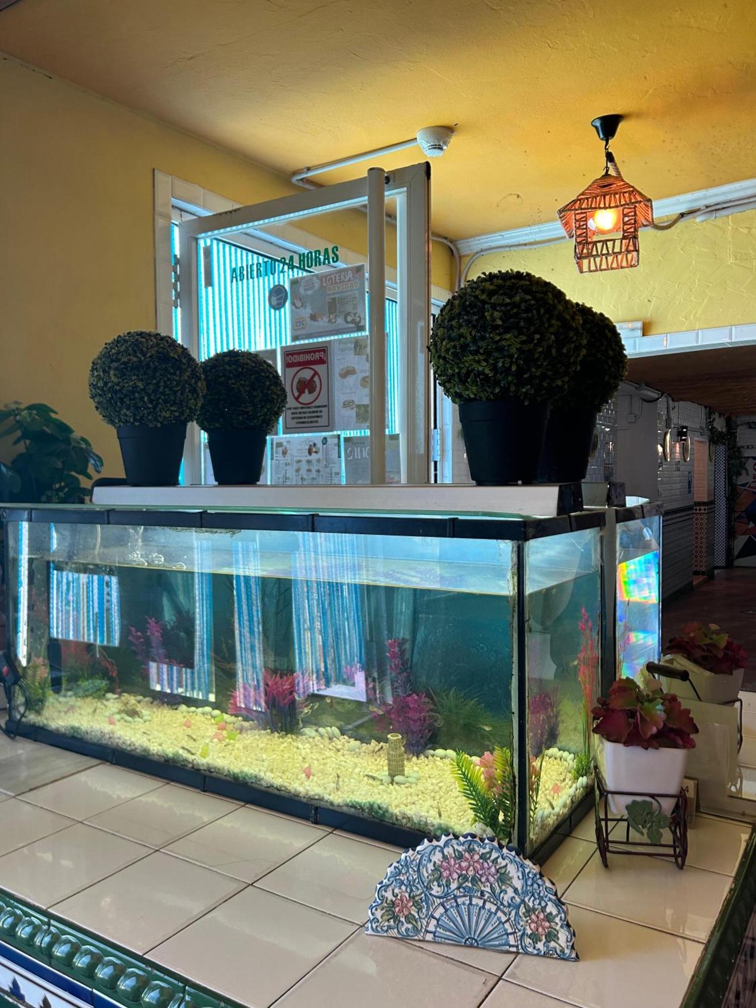 Hostal Avenida Andalucia - Solo Adultos Seville Luaran gambar